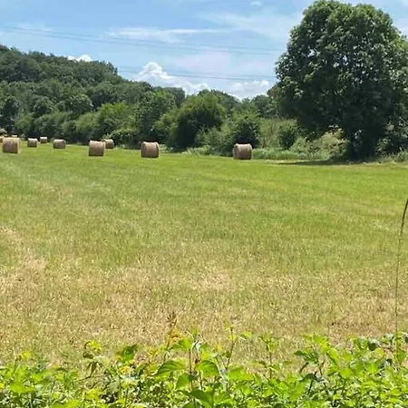 Repos, détente et cyclisme au coeur des vignes Casa vacanze *