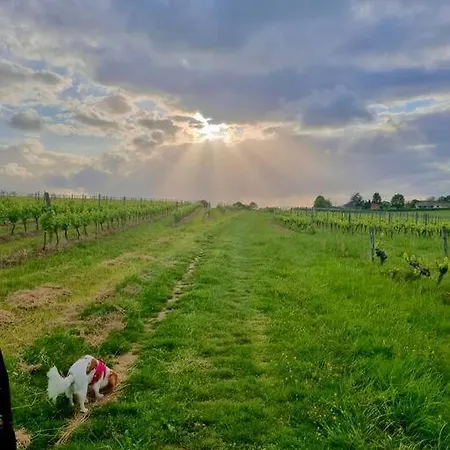 Repos, détente et cyclisme au coeur des vignes * Lignan-de-Bordeaux