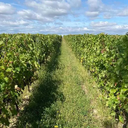 Casa vacanze Repos, détente et cyclisme au coeur des vignes Lignan-de-Bordeaux